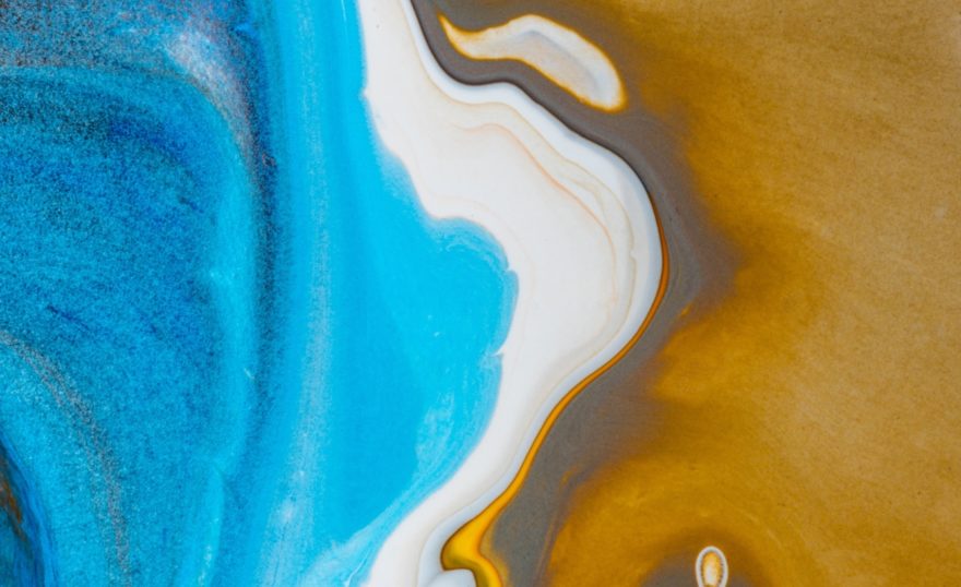 Alexander ant V Oduz62 Fu50 unsplash