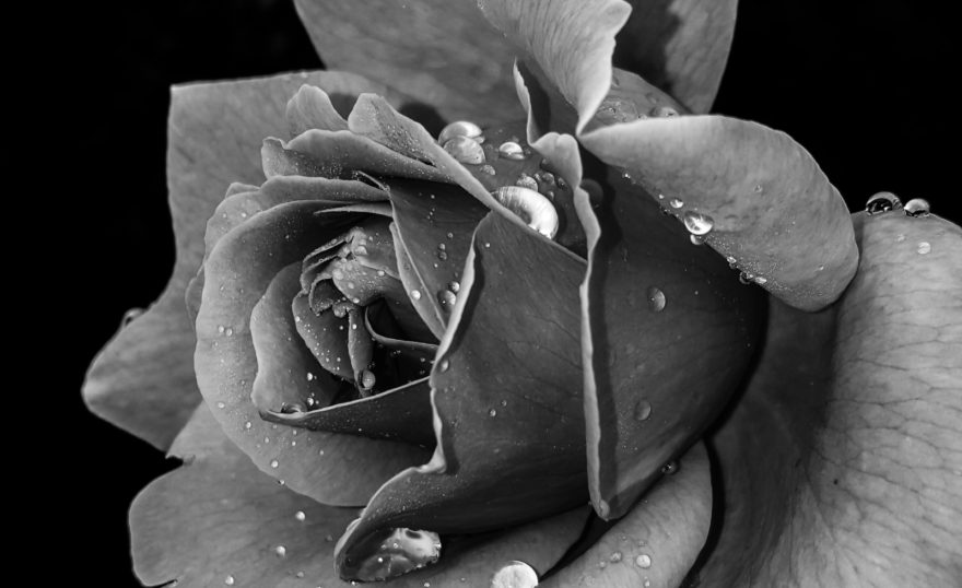 Cristiane teston 2i V9nq P4 Y6 A unsplash