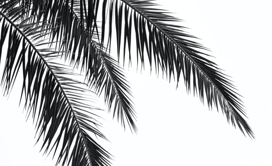 Nika akin T In BQ3 Jlp w unsplash