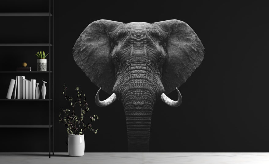 Olifant