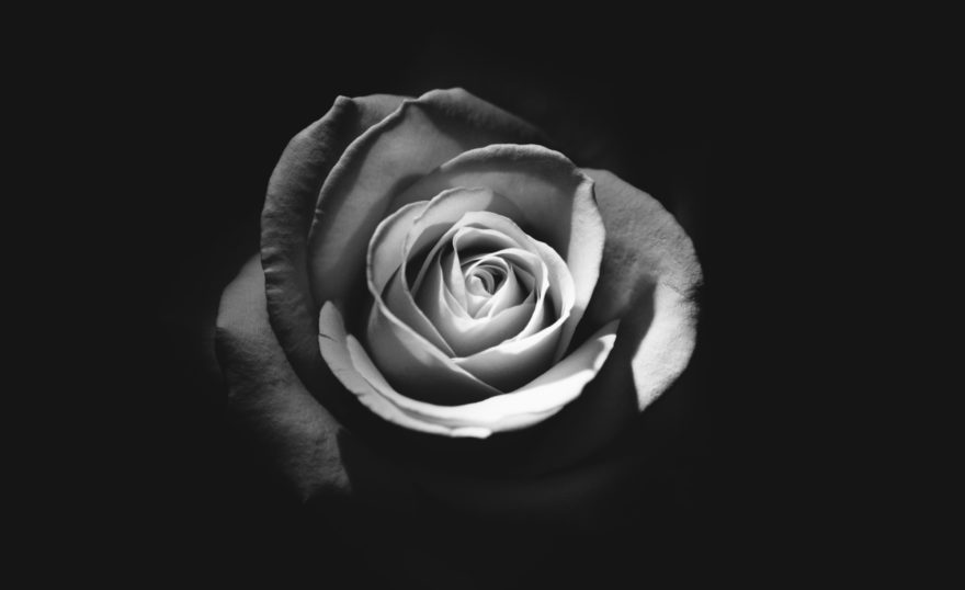 Rodion kutsaev s0x E Pfy Yjf U unsplash