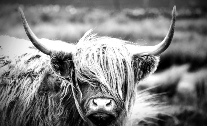 Shutterstock 753541153 2