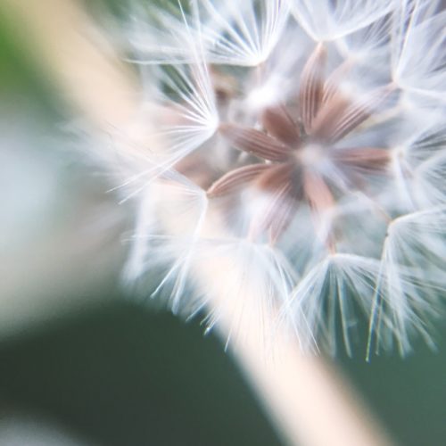 Adobe Stock 339869033