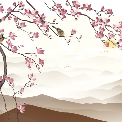 Kersenbloemen Landschap