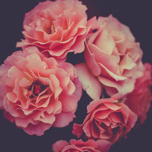 Alex blajan v NGL14 V5 TY unsplash