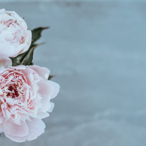 Annie spratt Xh0yi Ah VLFA unsplash