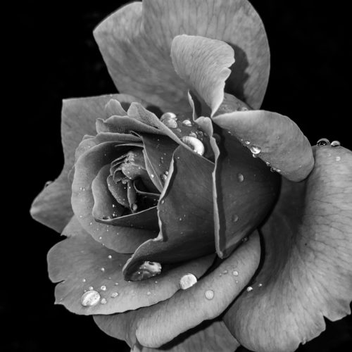 Cristiane teston 2i V9nq P4 Y6 A unsplash