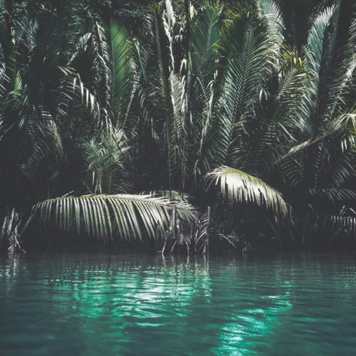 Faisal waheed 2i0 Owl Z K4 unsplash