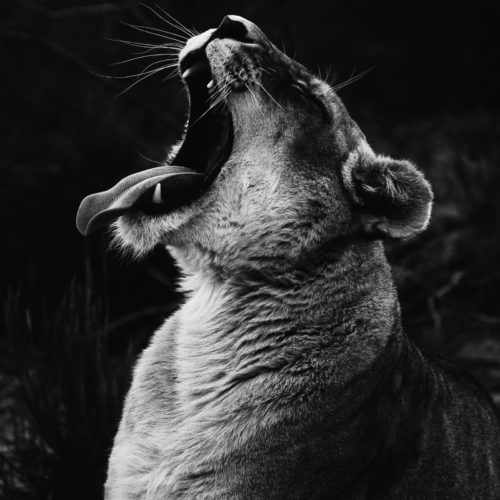 Isabella juskova S Qszo1m P4sk unsplash