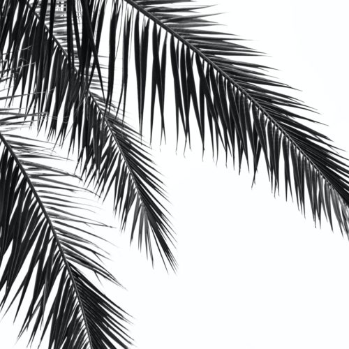 Nika akin T In BQ3 Jlp w unsplash