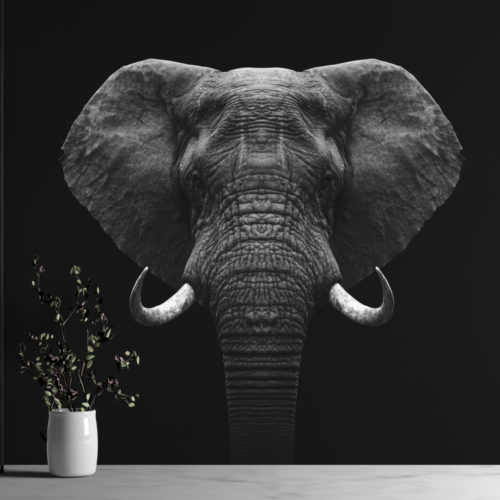 Olifant
