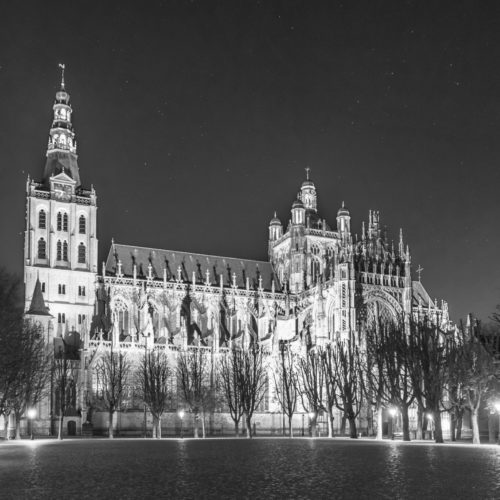 Parade by night zwart wit