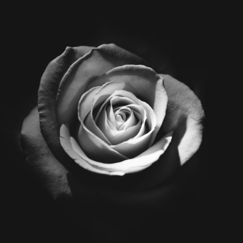Rodion kutsaev s0x E Pfy Yjf U unsplash