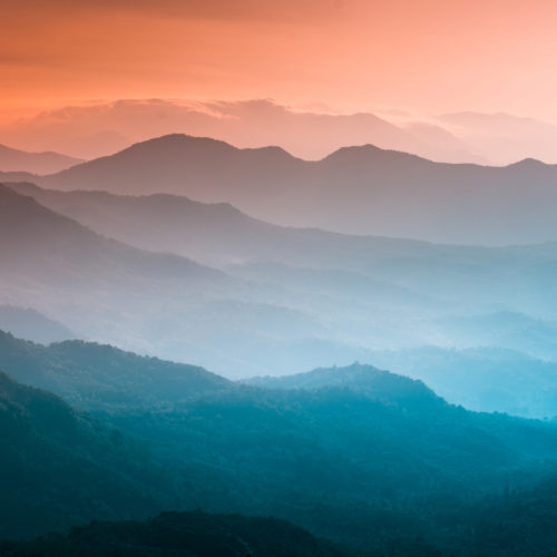Shutterstock 1725825019