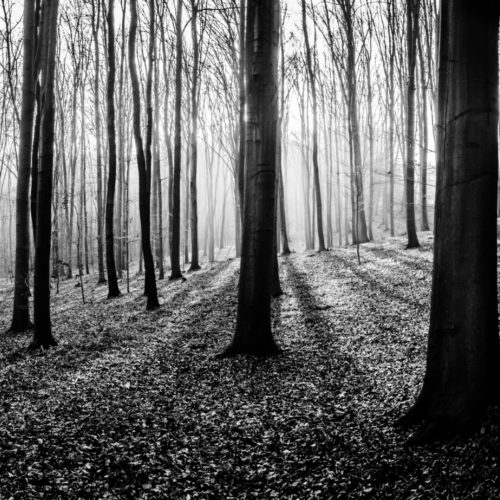 Shutterstock 353214674