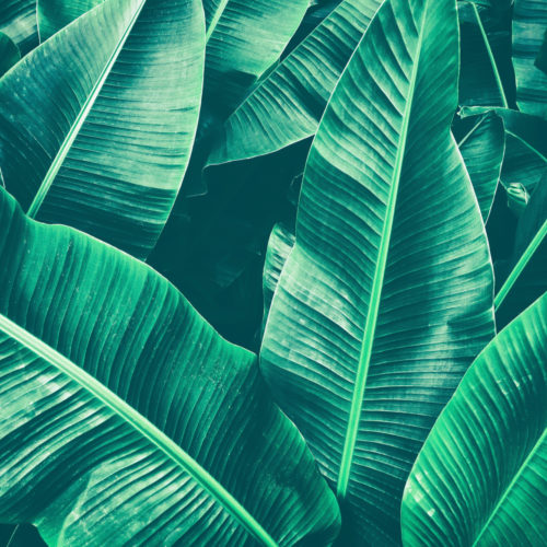 Shutterstock 750788080