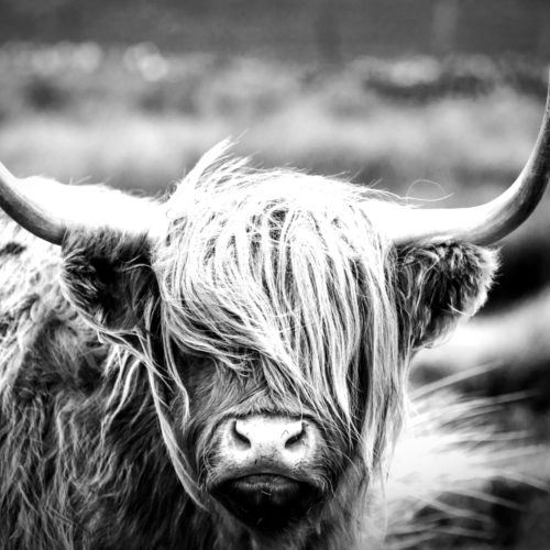 Shutterstock 753541153 2