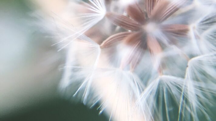 Adobe Stock 339869033