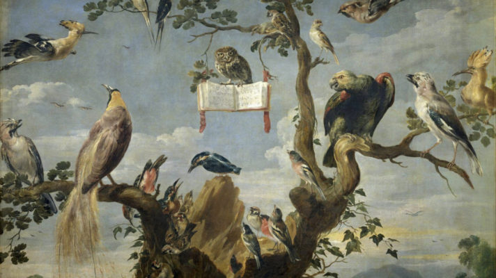 Concert of birds