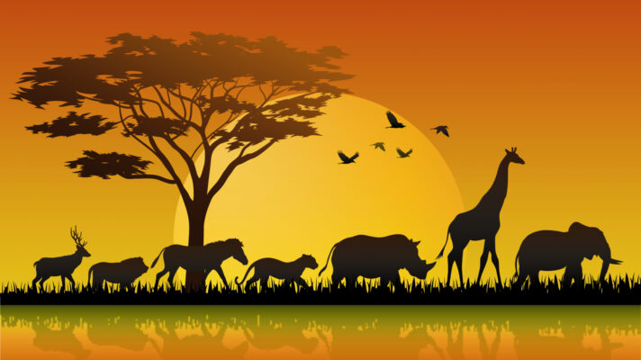 Dieren in de Savanne