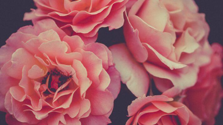 Alex blajan v NGL14 V5 TY unsplash