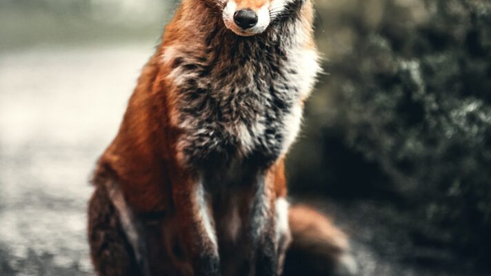 Alexander andrews m Ed Ku PY Je1 I unsplash