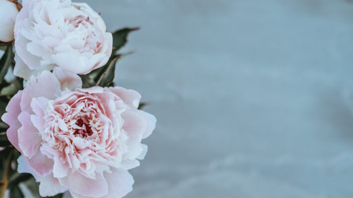 Annie spratt Xh0yi Ah VLFA unsplash