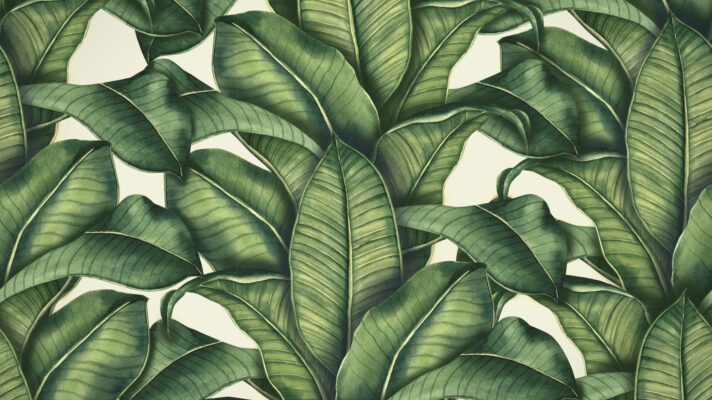 bananen-bladeren