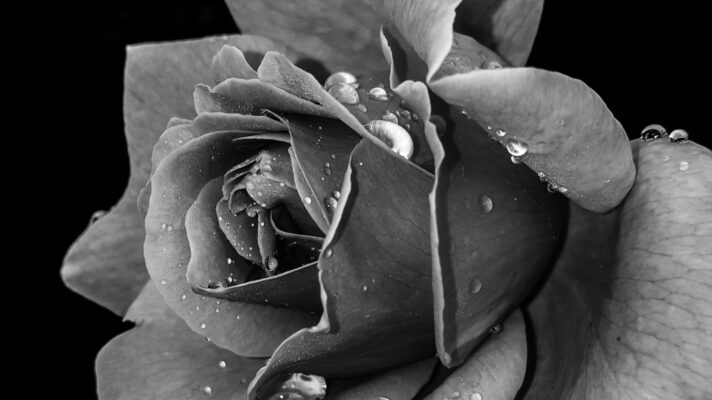 Cristiane teston 2i V9nq P4 Y6 A unsplash