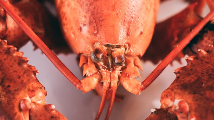 Daniel norris O8d Ntu T2v4 unsplash 2