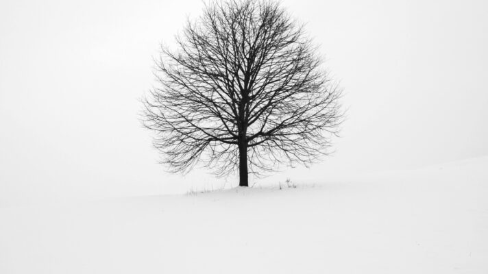 Fabrice villard Jrl U Qc Zq Oc unsplash