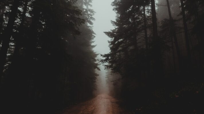 Filip zrnzevic O6 Sqjmi Y3tg unsplash