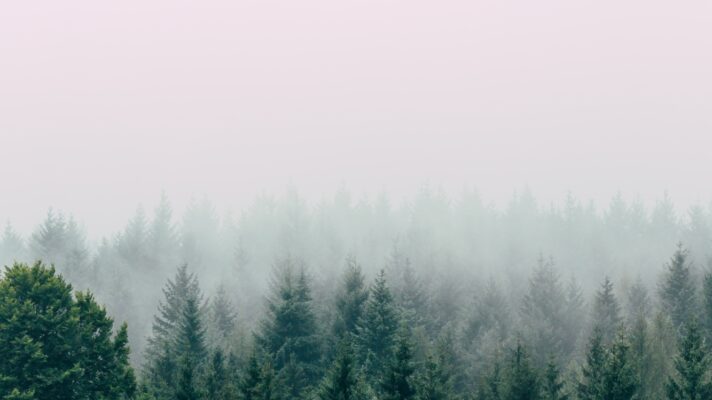 Filip zrnzevic Qs WG0kj PQRY unsplash