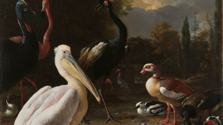 Het drijvend veertje