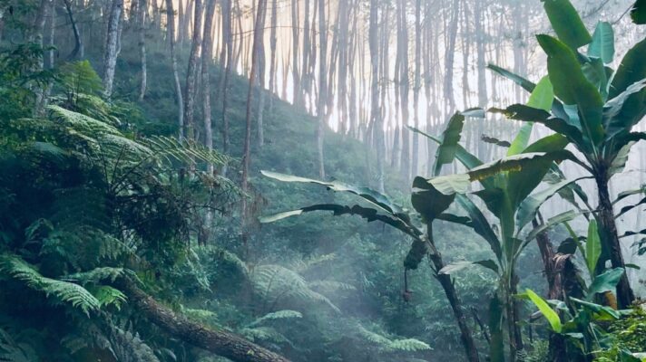 Hidayat abisena A2 Iu O Znm Hs unsplash