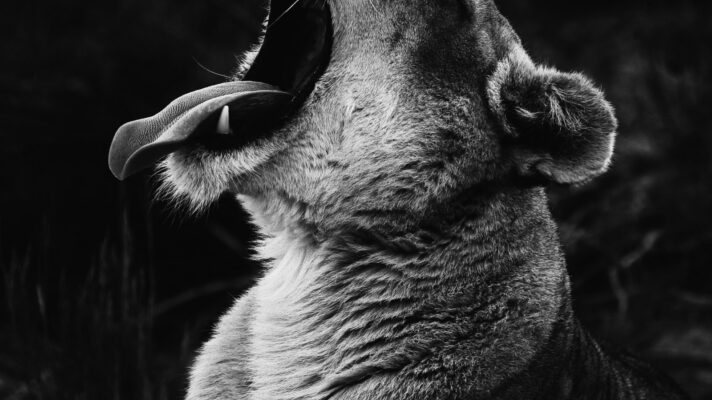 Isabella juskova S Qszo1m P4sk unsplash