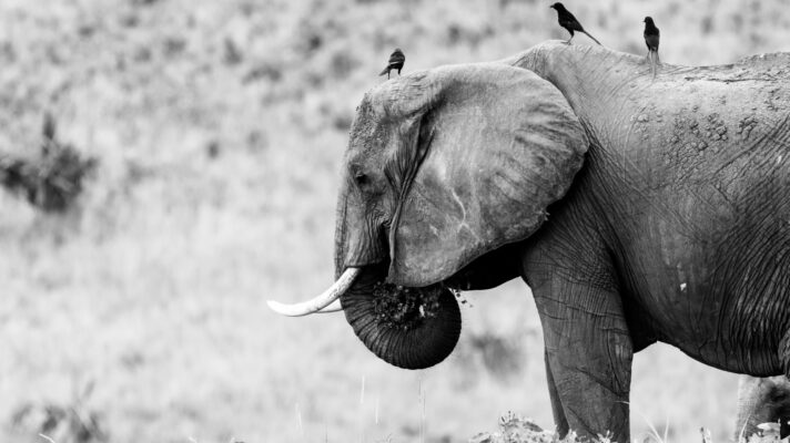 James hammond 4 D Wvm3 Dsv0 E unsplash