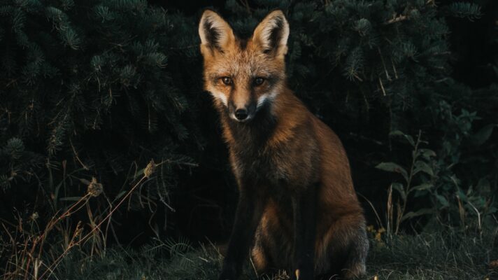 Jeremy vessey l Rw G Me1 M Fj4 unsplash