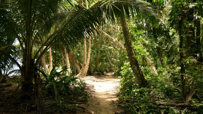 Lisa kessler 10 Ty P74o Iq Y unsplash