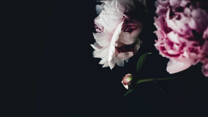 Roze witte bloemen fotobehang