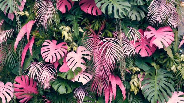 Shutterstock 1056823523