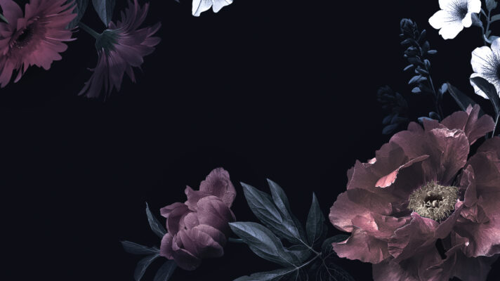 Shutterstock 1146476294