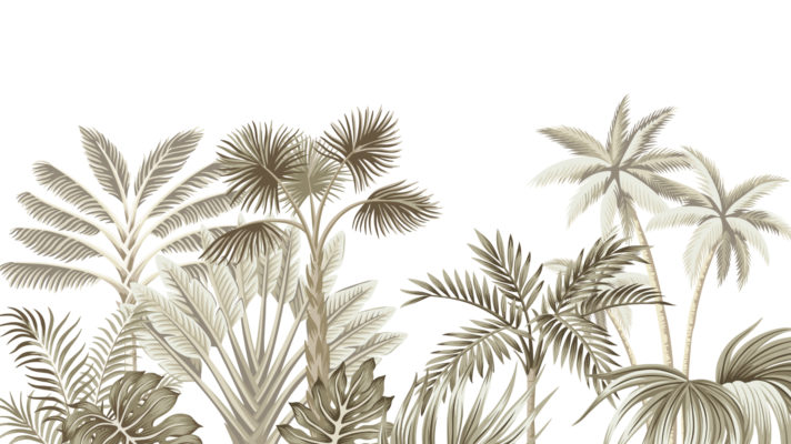 Shutterstock 1348208072