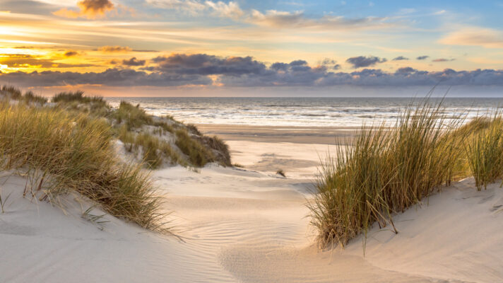 Shutterstock 1917290465