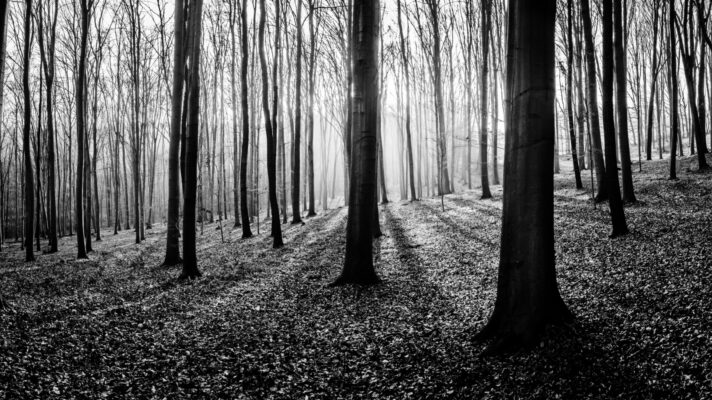 Shutterstock 353214674