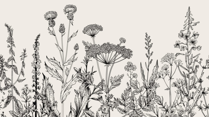 Shutterstock 371103653