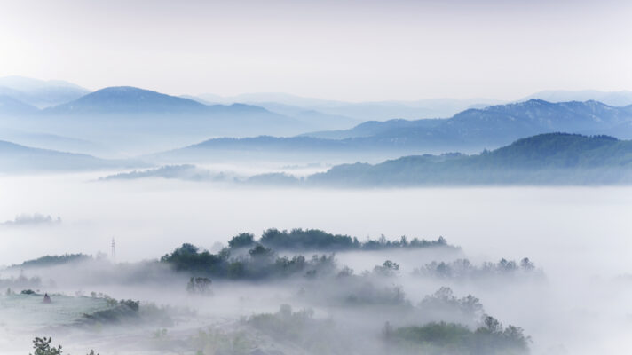 Shutterstock 631815176