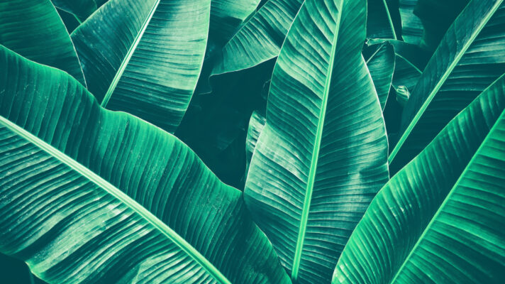 Shutterstock 750788080