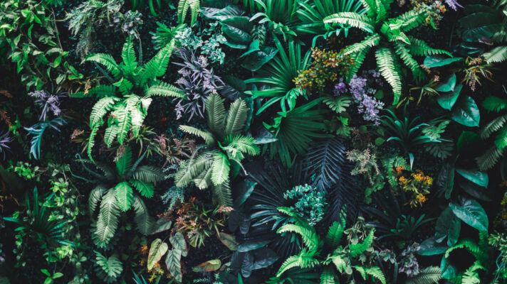 Shutterstock 783204934