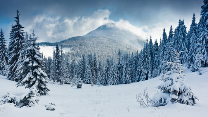 Shutterstock 98058872